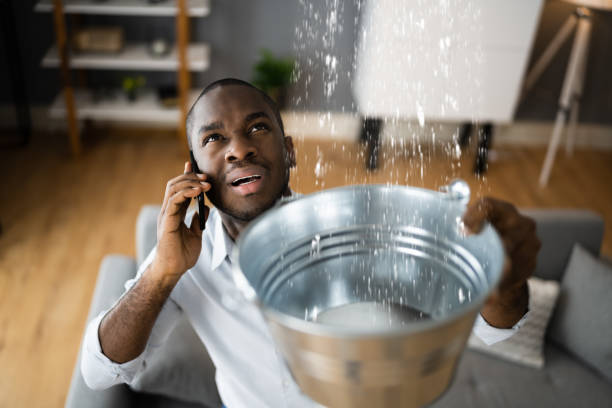 Best Flooded house restoration  in Wyanet, IL