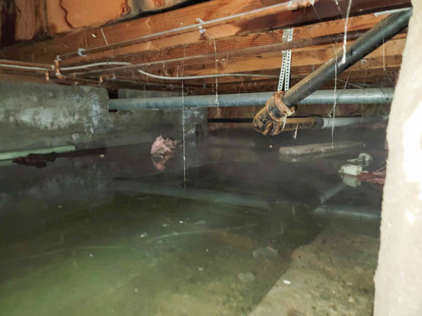 Best Residential water damage restoration  in Wyanet, IL