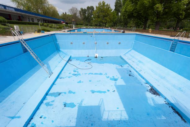 Best Flood damage cleanup  in Wyanet, IL