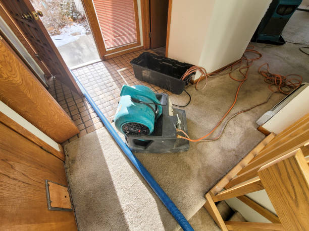 Best Water damage cleanup near me  in Wyanet, IL