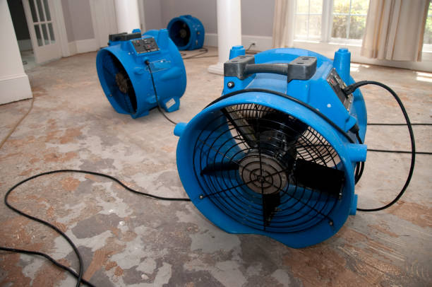 Best Professional water damage repair  in Wyanet, IL