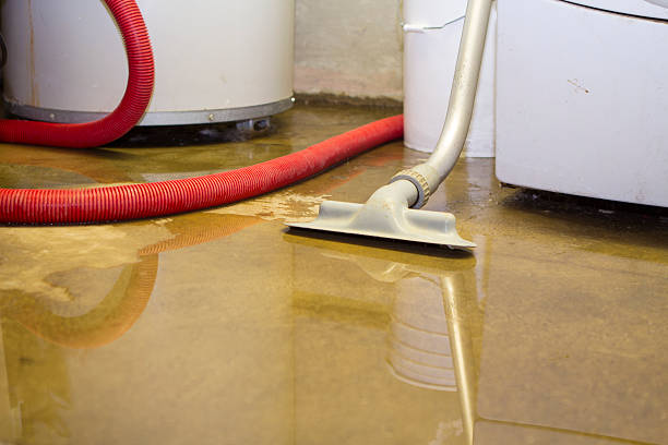 Best Residential water damage restoration  in Wyanet, IL