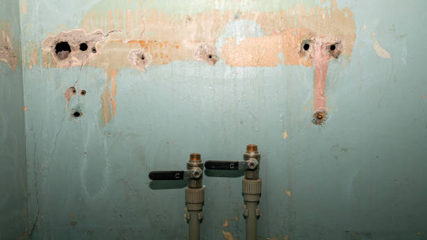 Trusted Wyanet, IL Water damage restoration Experts
